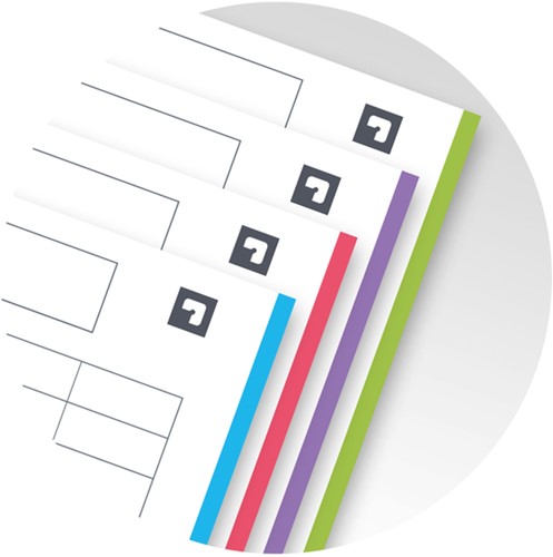 Collegeblok Oxford europeanbook A4+ 120 vel ass 1 Stuk-8