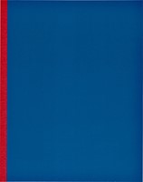 Kasboek 165x210mm 160blz 1 kolom rode rug assorti 1 Stuk