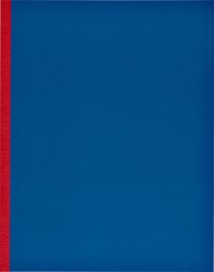 Kasboek 165x210mm 160blz 1 kolom rode rug assorti 1 Stuk