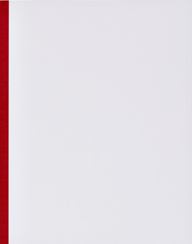 Kasboek 165x210mm 160blz 1 kolom rode rug assorti 1 Stuk-3