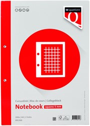 Cursusblok Quantore A4 80gr ruit 5mm be 1 Stuk
