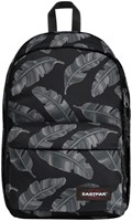 RUGZAK EASTPAK BACK TO WORK BRIZE LEAVES BLACK 1 Stuk