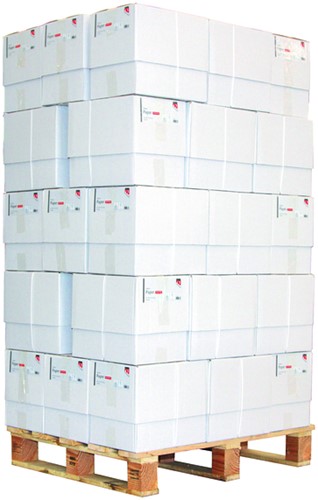 Kopieerpapier Quantore Economy A5 80gr wt 500 Vel-3