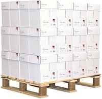 Kopieerpapier Quantore Basic A4 80gr wit 500 vel-8