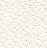 Handdoekrol Satino PT1 Comfort 2laags 150m wit 6 Rol-2