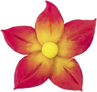 Boetseerklei Jovi 15gr neon kleuren 6 Stuk-2