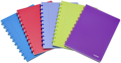 Schrift Atoma A4 ruit 5x5mm 144blz 90gr PP tr ass 1 Stuk