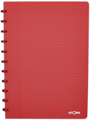 Schrift Atoma A4 ruit 4x8mm 144blz 90gr transp ass 1 Stuk-2