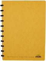 Schrift Atoma A4 ruit 5mm 144blz 90gr karton ass 1 Stuk-2