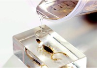 Giethars Voss GTS polyester 500gr verharder 1 Stuk-2