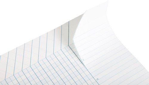 Puntenboek leraren Clairefontaine A4 72p meertalig 1 Stuk-3