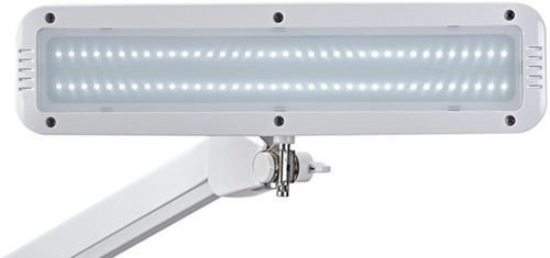 Werkpleklamp MAUL Intro LED tafelklem dimbaar wit 1 Stuk-2
