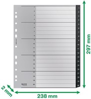 Tabblad Leitz Recycle A4 11-gaats 1-20 extra breed PP-2
