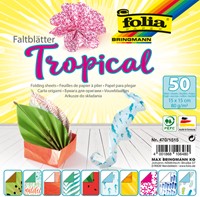 Vouwblaadjes Folia 80gr 15x15cm 50v 2z tropical 50 Vel