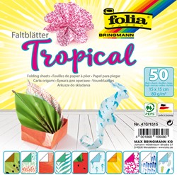 Vouwblaadjes Folia 80gr 15x15cm 50v 2z tropical 50 Vel