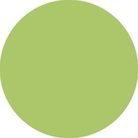 Fineliner STABILO point 88/34 F pistache 1 Stuk-3