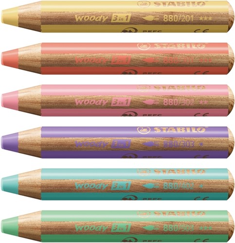 Kleurpotlood STABILO 880 woody 3 in 1 6st pa ass 6 Etui-2
