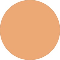 Fineliner STABILO point 88/25 F pastel oranje 1 Stuk-3