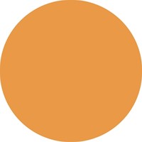 Fineliner STABILO point 88/85 F papaya 1 Stuk-3