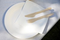 Bord IEZZY D 150mm karton wit 100 Stuk-2