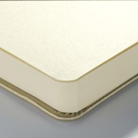 Schetsboek Talens Art Creation 80 witte vellen 140gr 210x150mm witgoud-3