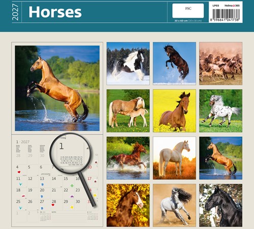 Kalender 2027 30x30cm paarden 1 Stuk-2