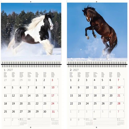 Kalender 2027 30x30cm paarden 1 Stuk-3