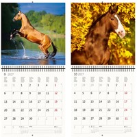 Kalender 2027 30x30cm paarden 1 Stuk-1