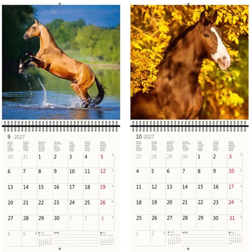 Kalender 2027 30x30cm paarden 1 Stuk-1