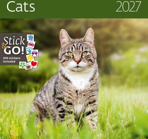 Kalender 2027 30x30cm katten 1 Stuk
