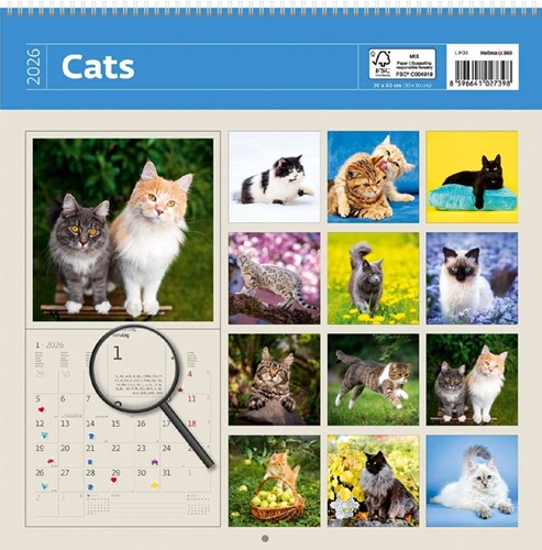 Kalender 2026 30x30cm katten 1 Stuk-2