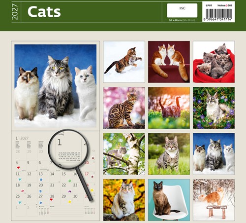 Kalender 2027 30x30cm katten 1 Stuk-2
