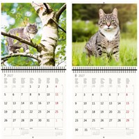 Kalender 2027 30x30cm katten 1 Stuk-3