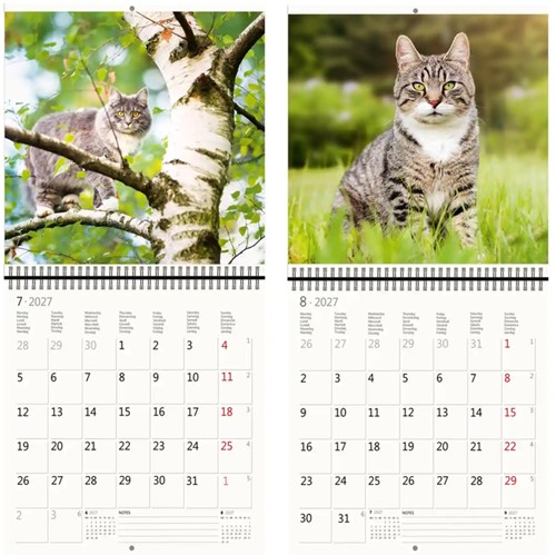 Kalender 2027 30x30cm katten 1 Stuk-3