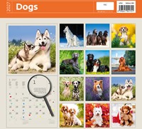 Kalender 2027 30x30cm honden 1 Stuk-2