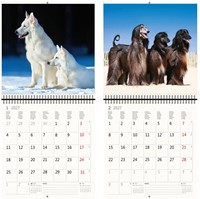 Kalender 2027 30x30cm honden 1 Stuk-3