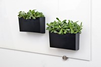 Glasbord accessoirehouder Legamaster zwart 1 Stuk-1