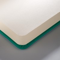 Schetsboek Talens Art Creation 80 witte vellen 140gr 210x297mm woudgroen-3