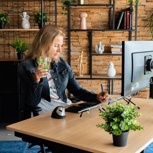 Documenthouder R-Go Flex Read Verstelbaar 1 Stuk-3