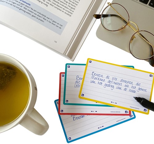 Flashcard Oxf 2.0 75x125mm 80vel 250gr lijn ass 80 Vel-3