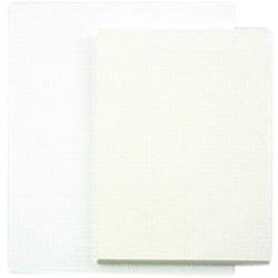 Tekenpapier Papyrus 65x100cm 160gr 125vel 125 Vel