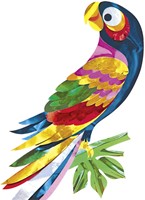 Knutselfolie Folia 50x78cm 50 rollen assorti 50 Rol-3