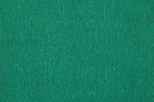 Crêpepapier Folia 250x50cm nr141 mosgroen 1 Stuk-2