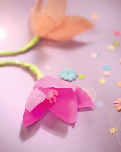 Crepepapier Folia 50x250cm 10vel 176 roze 1 Stuk-3