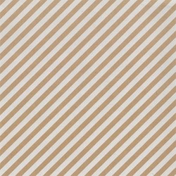 Apparaatrol Special Wrap 200mx50cm kraft streep wt 1 Rol