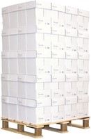 Kopieerpapier Daily Paper A4 80gr wit 500 vel 500 Vel