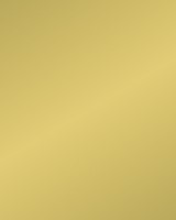 Etalagekarton Folia 1z 48x68cm 380gr nr611 goud 1 Stuk