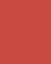 Etalagekarton Folia 1z 48x68cm 380gr nr929 flr rd 1 Stuk