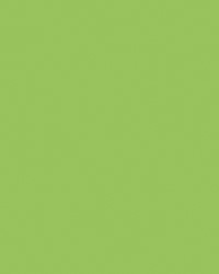 Etalagekarton Folia 1z 48x68cm 380gr nr941 fl gn 1 Stuk