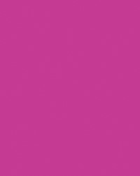 Etalagekarton Folia 1z 48x68cm 380gr nr926 fl rz 1 Stuk